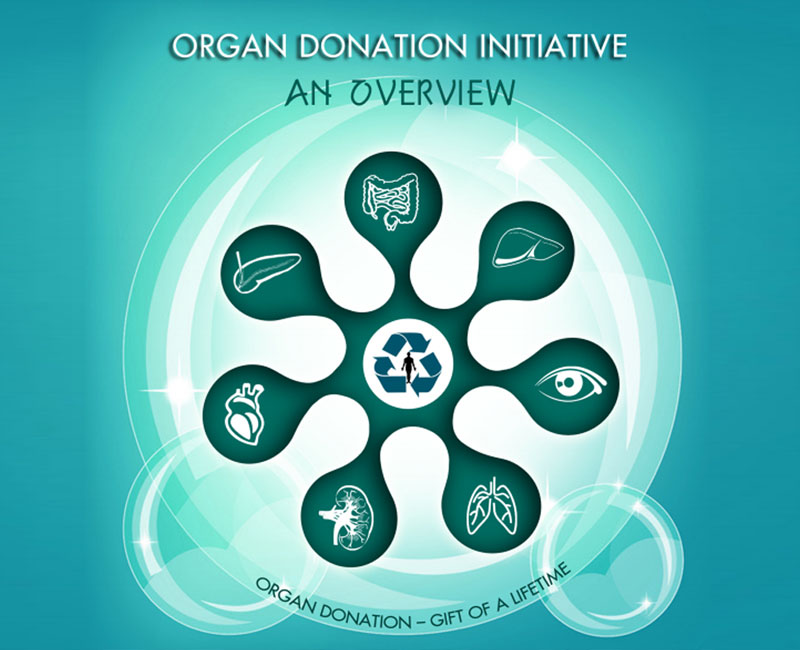 Rem non aut ab tempo